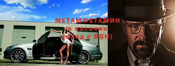 гидра Каменка
