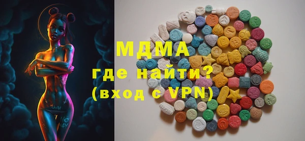 гидра Каменка