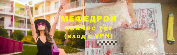 гидра Каменка