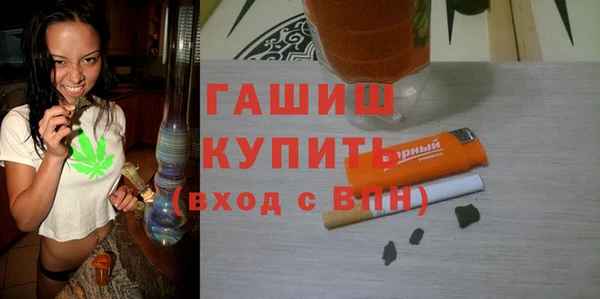 гидра Каменка