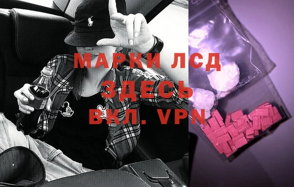 гидра Каменка