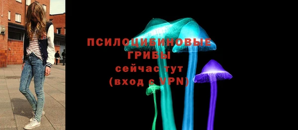 гидра Каменка