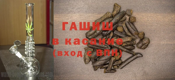гидра Каменка