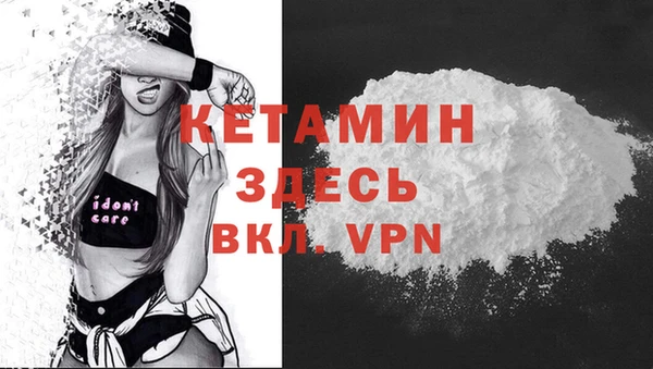 гидра Каменка