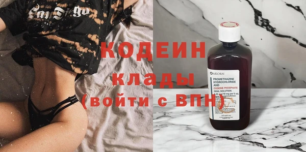 гидра Каменка